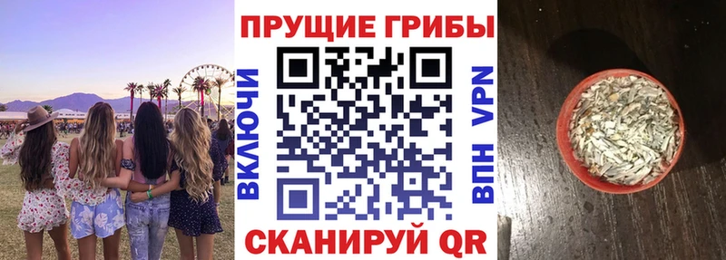 Галлюциногенные грибы Psilocybine cubensis  цены   Зеленоградск 
